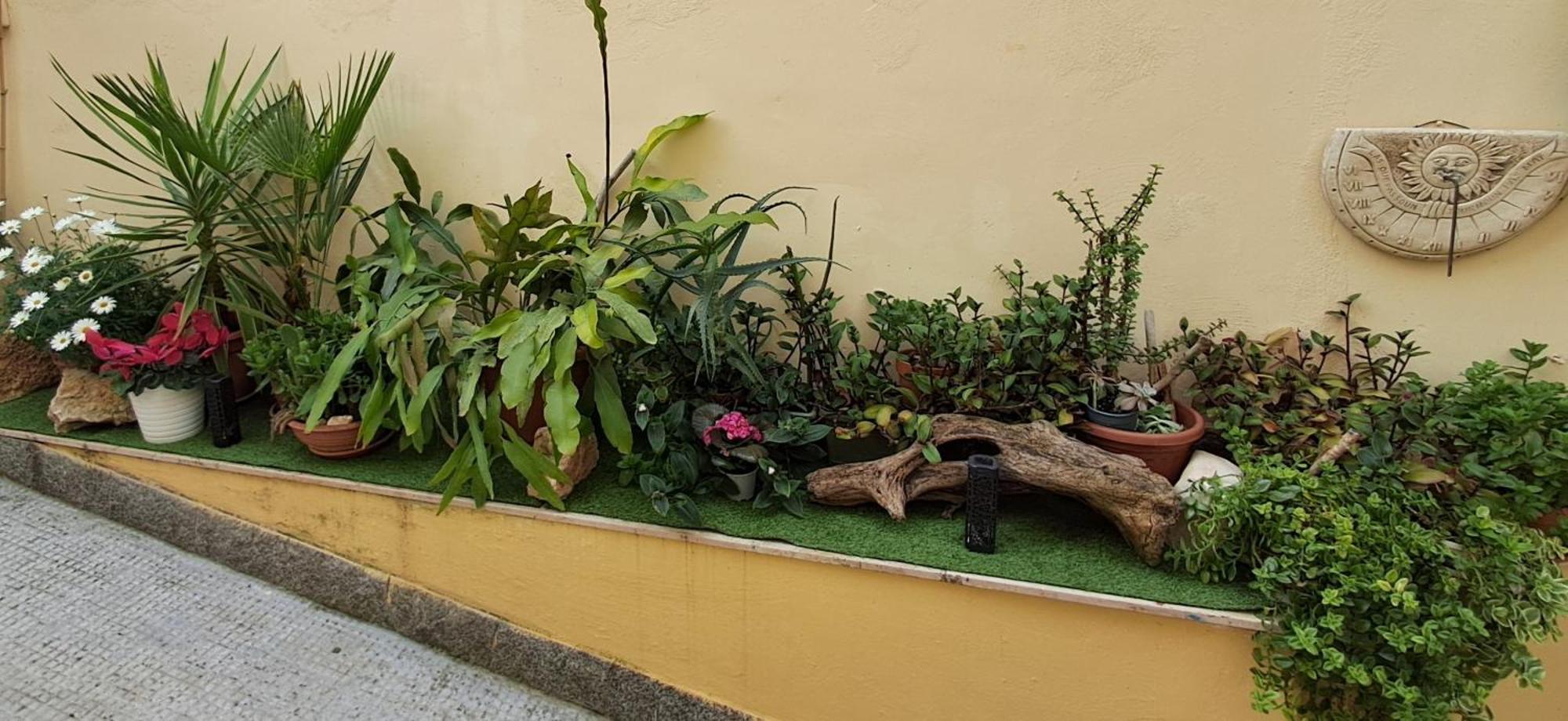 La Dimora Segreta Villa Bitetto Dış mekan fotoğraf